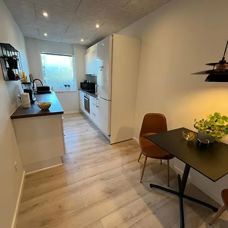 Nyrenoveret Med Balkon Og Parkering Esbjerg